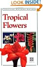 Tropical Flowers of...