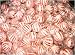Peppermint Round Mints Mints (25 Pounds)