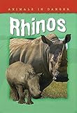 Rhinos
