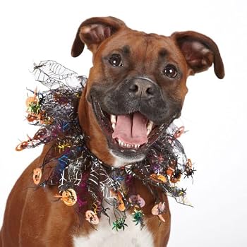 Aria Halloween Sparkle Dog / Cat Scrunchy
