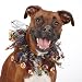 Aria Halloween Sparkle Dog / Cat Scrunchy