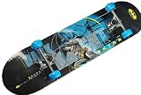 Skateboard komplett und fertig montiert ABEC 5 Lager