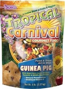 F.M. Brown's Tropical Carnival Guinea Pig Food, 20-Pound