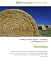 Nebraska: History of Nebraska, Kansas-Nebraska Act, Geography of Omaha, Nebraska Legislature, Nebraska State Capitol, Mike Johanns, Ben Nelson, Chuck Hagel, Adrian M. Smith, J. James Exon