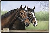 Caroline's Horses Doormat Caroline Cook Fiddler's Elbow