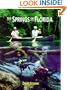 The Springs of Florida