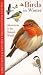 Birds in Winter (Collins Watch Guide) by Liz ed Bourne