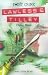 Flying Blind (Point Crime: Lawless & Tilley)