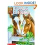 Foals in the Field (Animal Ark Series #24)