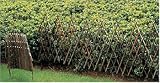 Expandable Picket Fence Edging