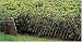Expandable Picket Fence Edging