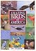 Amazing Birds of America