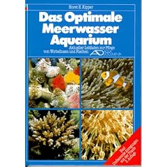 Das Optimale Meerwasser-Aquarium