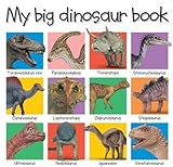 My big dinosaur book