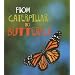 From Caterpillar to Butterfly (How Living Things Grow)