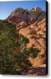 Red Rock Textures Canvas Print / Canvas Art - Artist Chris Brannen