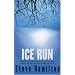 Ice Run