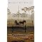 Study Philosophy from a Horse