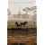 The Horses of Proud Spirit