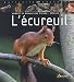 L'écureuil