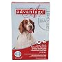 Advantage Topical Flea Treatment for Dogs 21-55 Lbs (6 Applications)