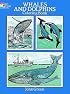 Whales & Dolphins Coloring Book