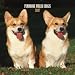 Pembroke Welsh Corgis 2007 Calendar