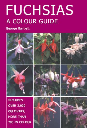 Fuchsias: A Colour Guide