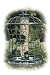 Outdoor Living : Caged Seed Tube Feeder