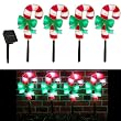 christmas pathway lights