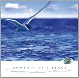 Produkt-Bild: Momente der Stille (Moments of Silence) - Entspannungsmusik f&uuml;r K&ouml;rper und Seele mit Panfl&ouml;te und Harfe