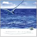 Momente der Stille (Moments of Silence) - Entspannungsmusik f�r K�rper und Seele mit Panfl�te und Harfe
