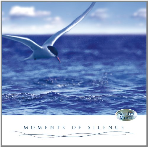 Produkt-Bild: Momente der Stille (Moments of Silence) - Entspannungsmusik f&uuml;r K&ouml;rper und Seele mit Panfl&ouml;te und Harfe