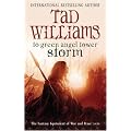 Storm: Memory, Sorrow and Thorn: Book Four (Memory, Sorrow & Thorn S.)
