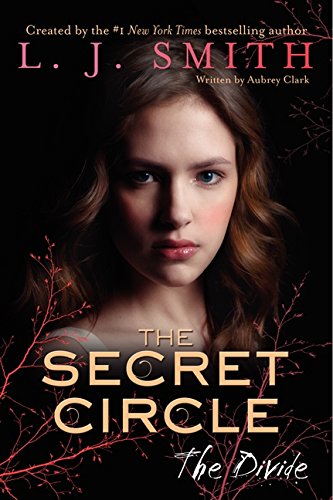the secret circle the divide