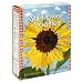 Sunflower Food and Spice Co, Sunflower Cookies, 5-Ounce Boxes (Pack of 6)