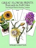Great Flower Prints Postcards in Full Color: 24 Ready-to-Mail Cards (Card Books)