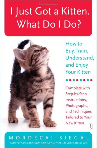 I Just Got Kitten a. Apa yang Kulakukan: Cara membeli, melatih, Memahami, dan Nikmati Kitten Anda?