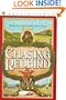 Chasing Redbird