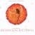 Monsoon Wedding