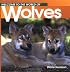 Welcome to the World of Wolves (Welcome to the World Series)