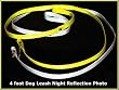 Vedante Super Reflective 4-Foot Dog Leash (Silver)
