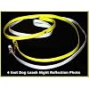 Vedante Super Reflective 4-Foot Dog Leash (Silver)