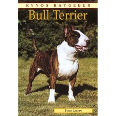 Bull Terrier