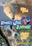 Really Wild Animals - Polar Prowl / Wonders Down Under
