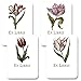 Laurel Botanical Tulips - Set of 12 Assorted Adhesive Bookplates