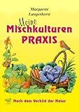 Meine MischKulturenpraxis: Nach dem Vorbild der Natur