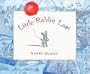 Little Rabbit Lost