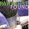 Succulent . . and Container . . Gardening ! 2 *