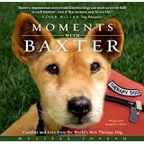 MomentsWithBaxter:ComfortandLovefromtheWorld'sBestTherapyDog
